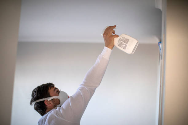 Attic Mold Removal in West Elmira, NY